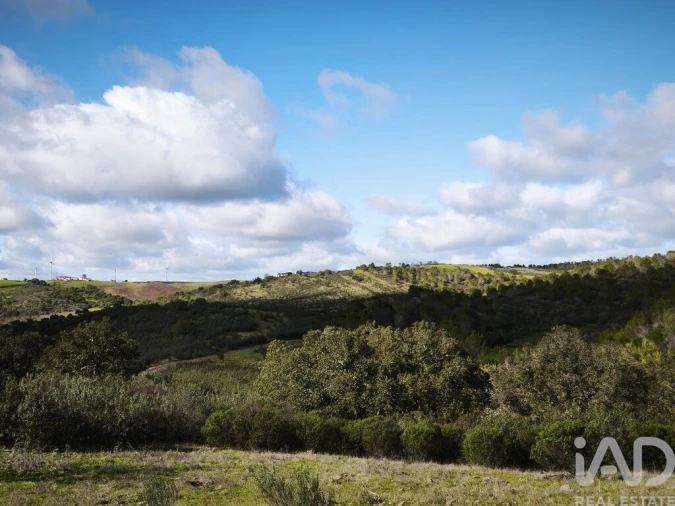 Terreno para Venda em São Miguel do Pinheiro, São Pedro de Solis, São Sebastião dos Carros Foto 21