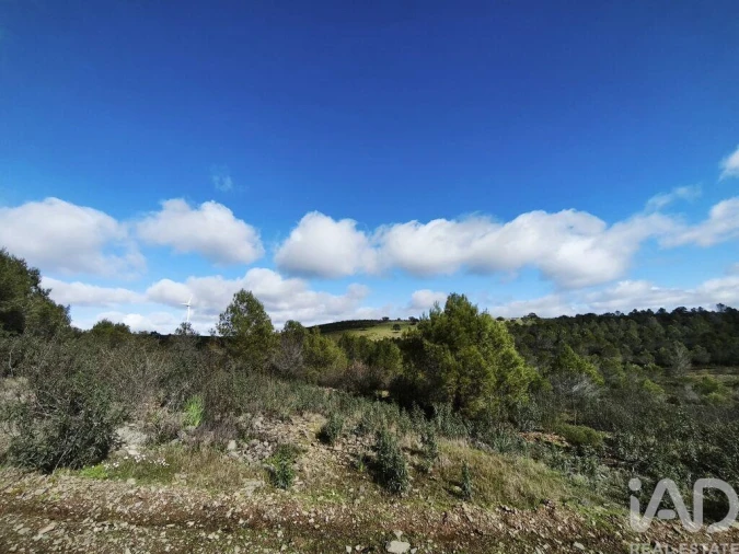 Terreno para Venda em São Miguel do Pinheiro, São Pedro de Solis, São Sebastião dos Carros Foto 11