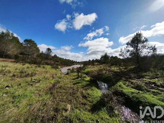 Terreno para Venda em São Miguel do Pinheiro, São Pedro de Solis, São Sebastião dos Carros Foto 1