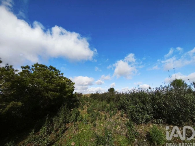 Terreno para Venda em São Miguel do Pinheiro, São Pedro de Solis, São Sebastião dos Carros Foto 26