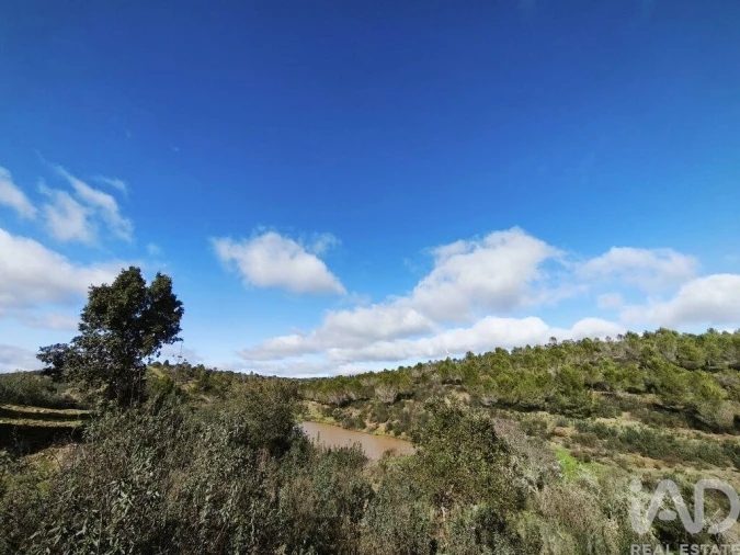 Terreno para Venda em São Miguel do Pinheiro, São Pedro de Solis, São Sebastião dos Carros Foto 19