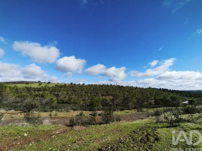 Terreno para Venda em São Miguel do Pinheiro, São Pedro de Solis, São Sebastião dos Carros Foto 15
