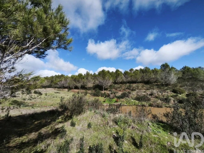 Terreno para Venda em São Miguel do Pinheiro, São Pedro de Solis, São Sebastião dos Carros Foto 17