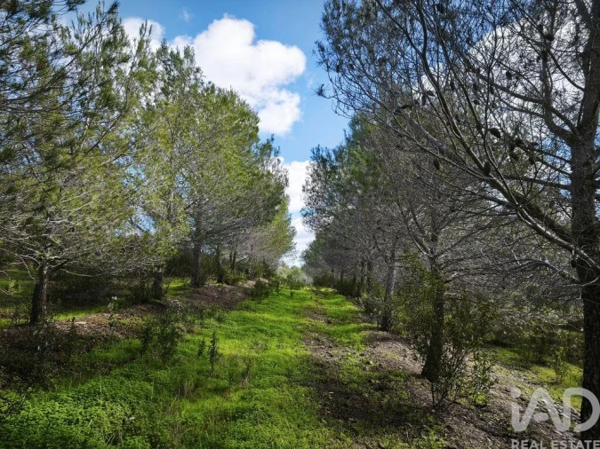 Terreno para Venda em São Miguel do Pinheiro, São Pedro de Solis, São Sebastião dos Carros Foto 37
