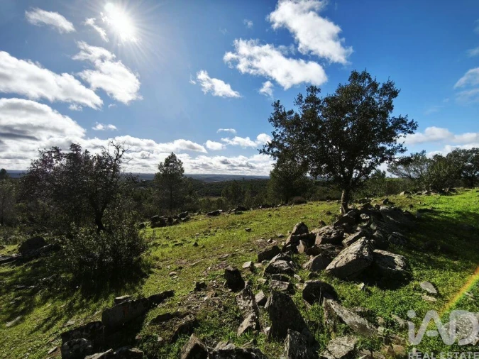Terreno para Venda em São Miguel do Pinheiro, São Pedro de Solis, São Sebastião dos Carros Foto 10