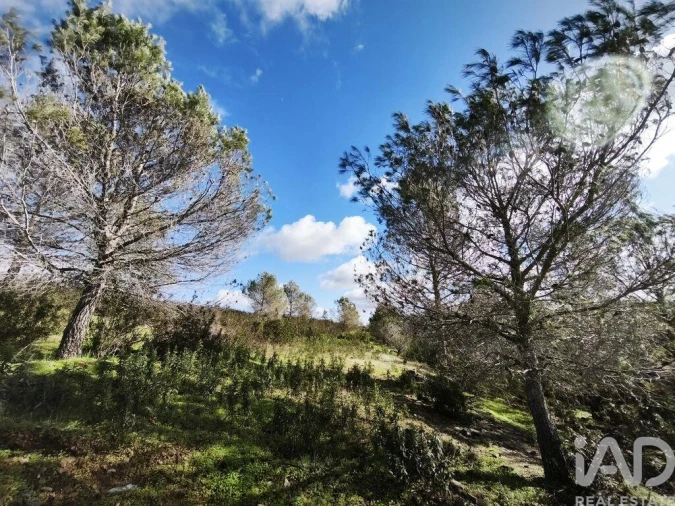 Terreno para Venda em São Miguel do Pinheiro, São Pedro de Solis, São Sebastião dos Carros Foto 36