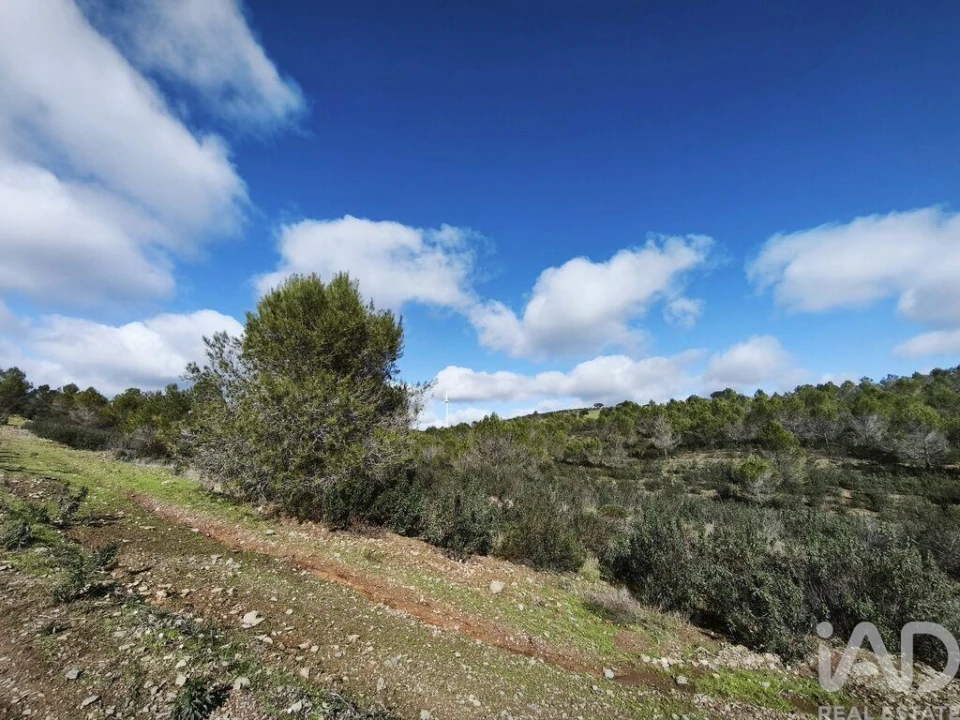 Terreno para Venda em São Miguel do Pinheiro, São Pedro de Solis, São Sebastião dos Carros Foto 14
