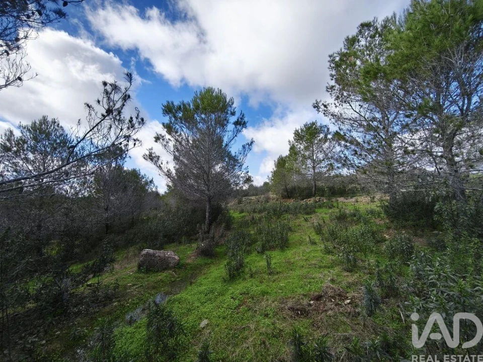Terreno para Venda em São Miguel do Pinheiro, São Pedro de Solis, São Sebastião dos Carros Foto 20