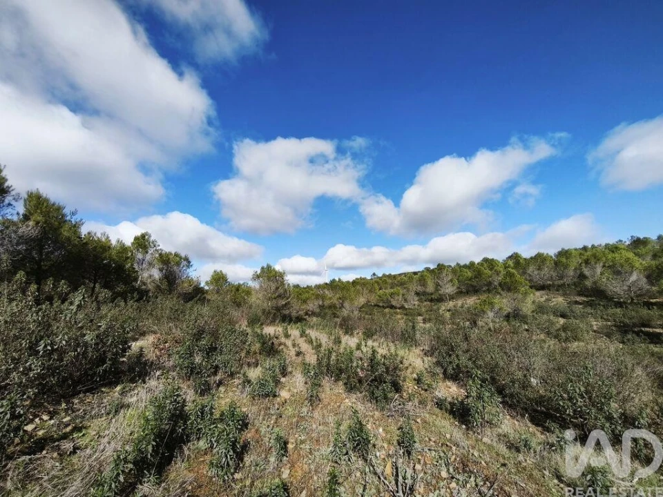 Terreno para Venda em São Miguel do Pinheiro, São Pedro de Solis, São Sebastião dos Carros Foto 13