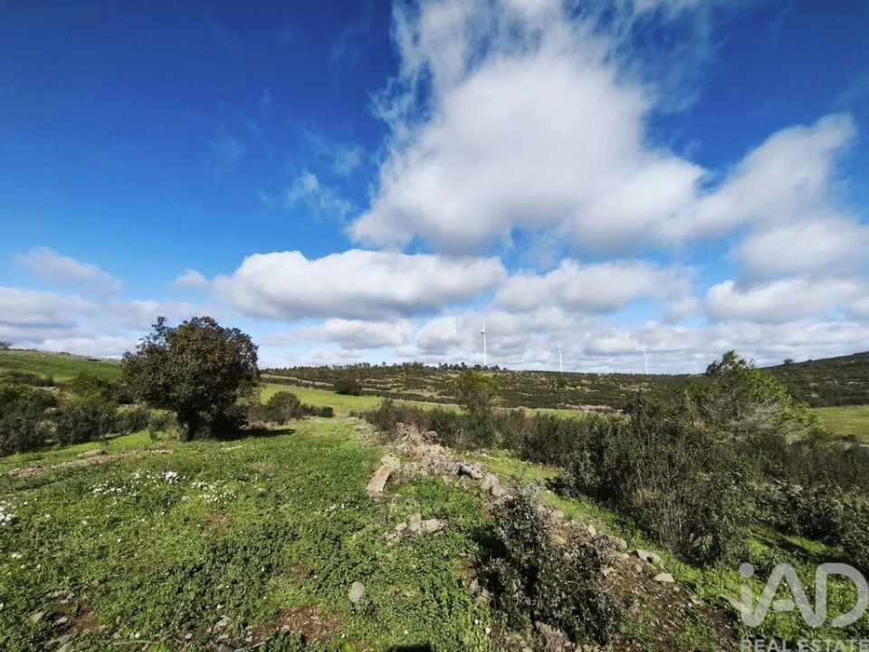 Terreno para Venda em São Miguel do Pinheiro, São Pedro de Solis, São Sebastião dos Carros Foto 9