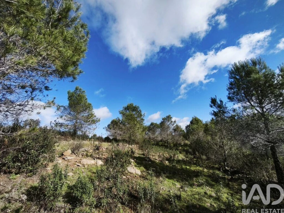 Terreno para Venda em São Miguel do Pinheiro, São Pedro de Solis, São Sebastião dos Carros Foto 40
