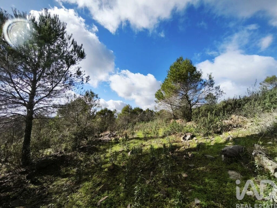 Terreno para Venda em São Miguel do Pinheiro, São Pedro de Solis, São Sebastião dos Carros Foto 39