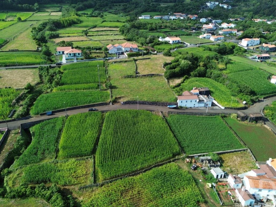 Terreno para Venda em Ribeiras Foto 6