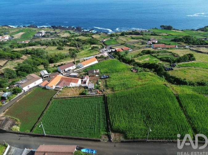 Terreno para Venda em Ribeiras Foto 13
