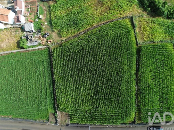 Terreno para Venda em Ribeiras Foto 10