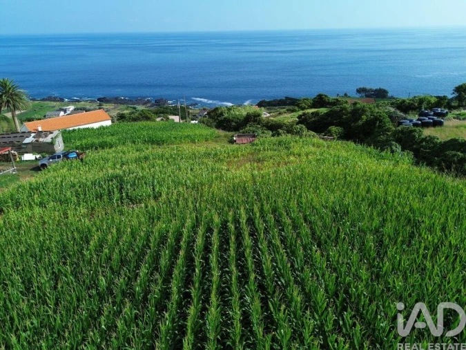 Terreno para Venda em Ribeiras Foto 9