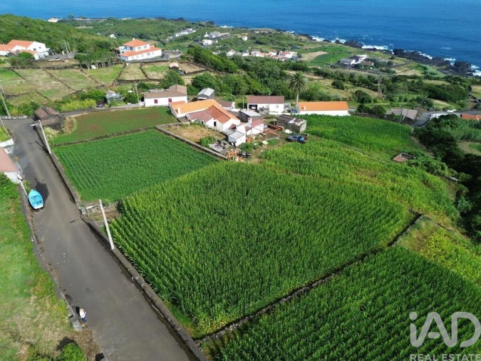 Terreno para Venda em Ribeiras Foto 16