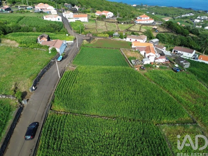 Terreno para Venda em Ribeiras Foto 18