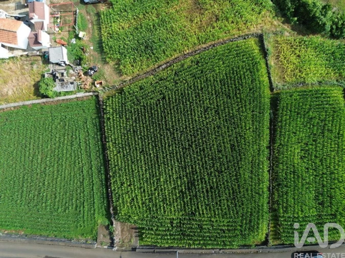 Terreno para Venda em Ribeiras Foto 11