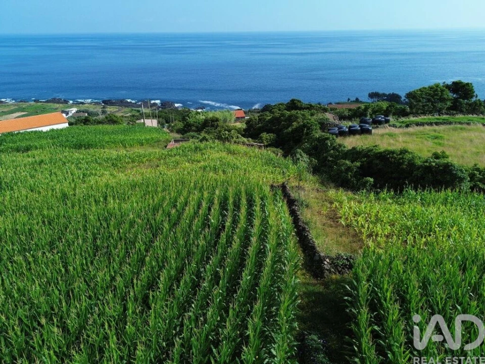 Terreno para Venda em Ribeiras Foto 8