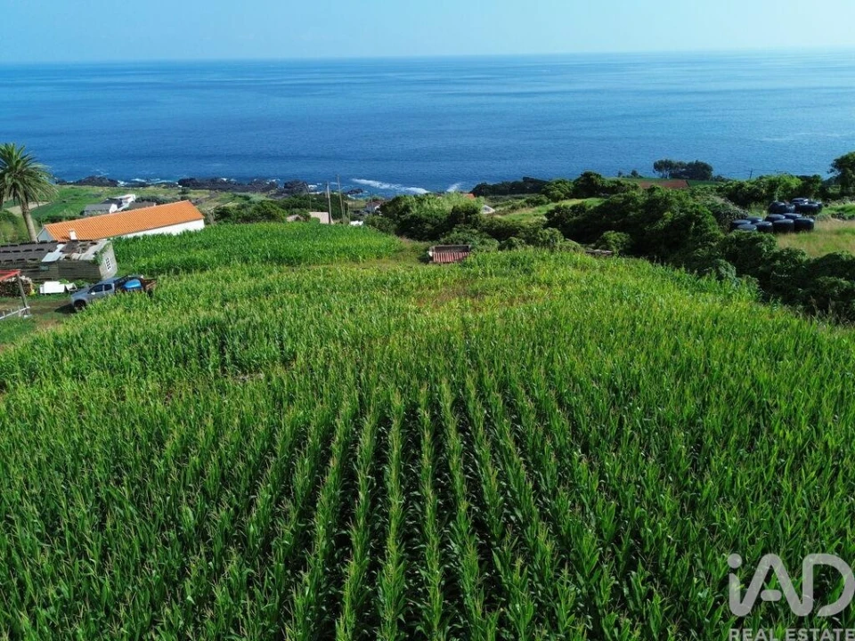 Terreno para Venda em Ribeiras Foto 9