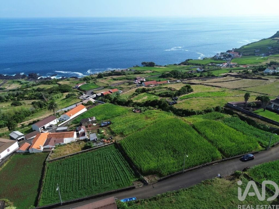 Terreno para Venda em Ribeiras Foto 15