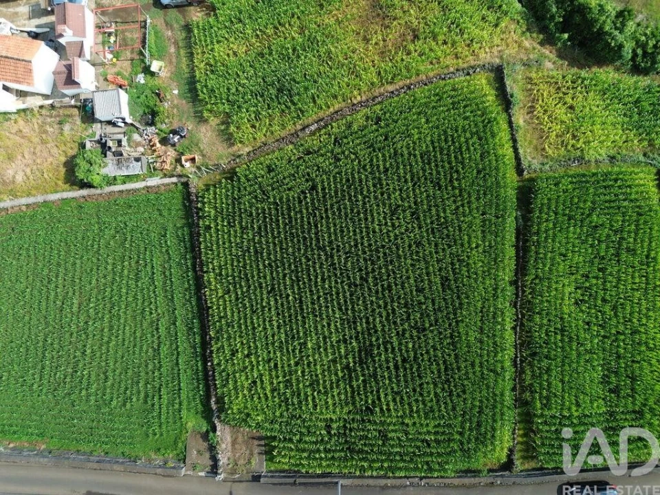 Terreno para Venda em Ribeiras Foto 11