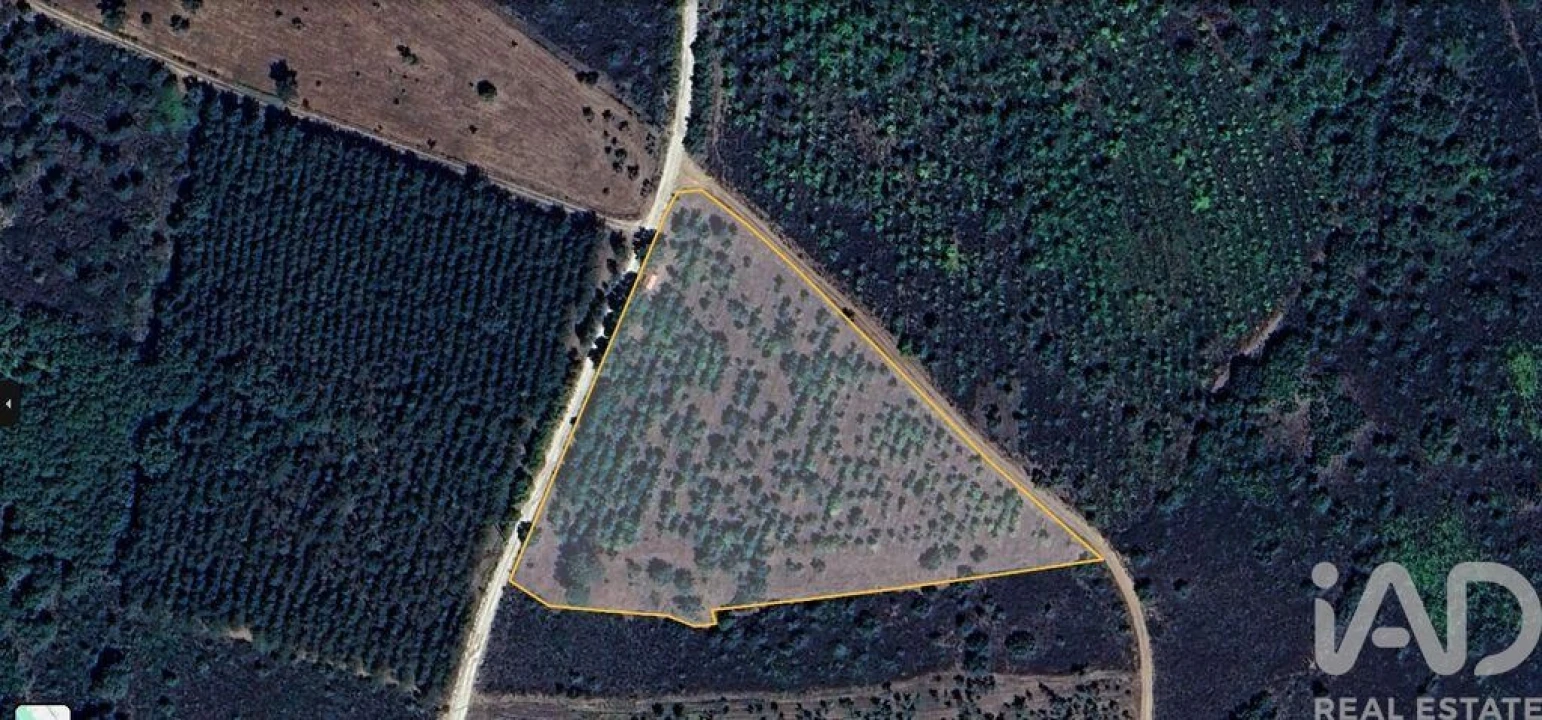 Terreno para Venda em Sabugal e Aldeia de Santo António Foto 4