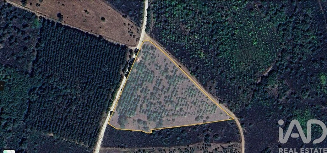 Terreno para Venda em Sabugal e Aldeia de Santo António Foto 4