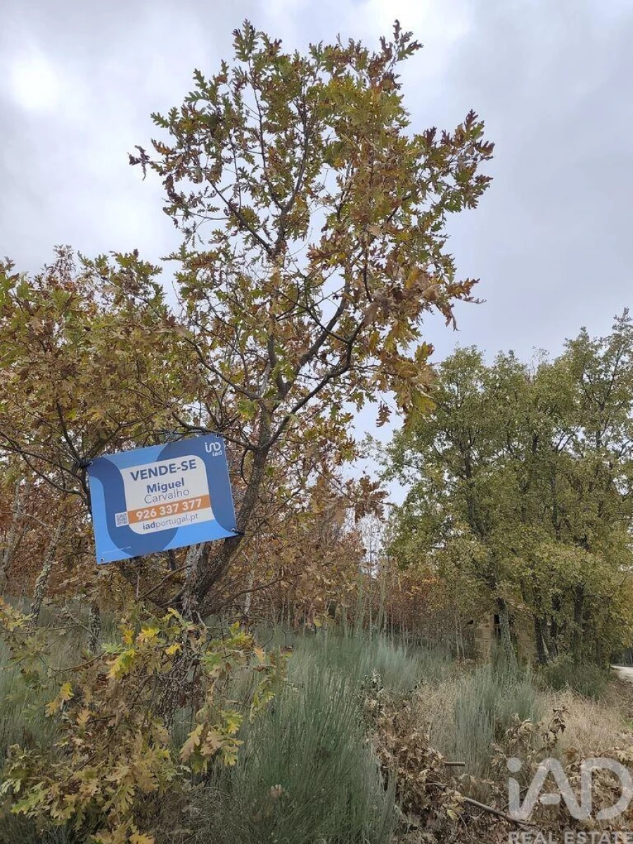 Terreno para Venda em Sabugal e Aldeia de Santo António Foto 3