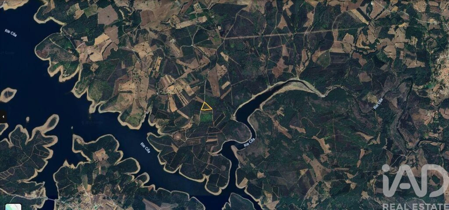 Terreno para Venda em Sabugal e Aldeia de Santo António Foto 5