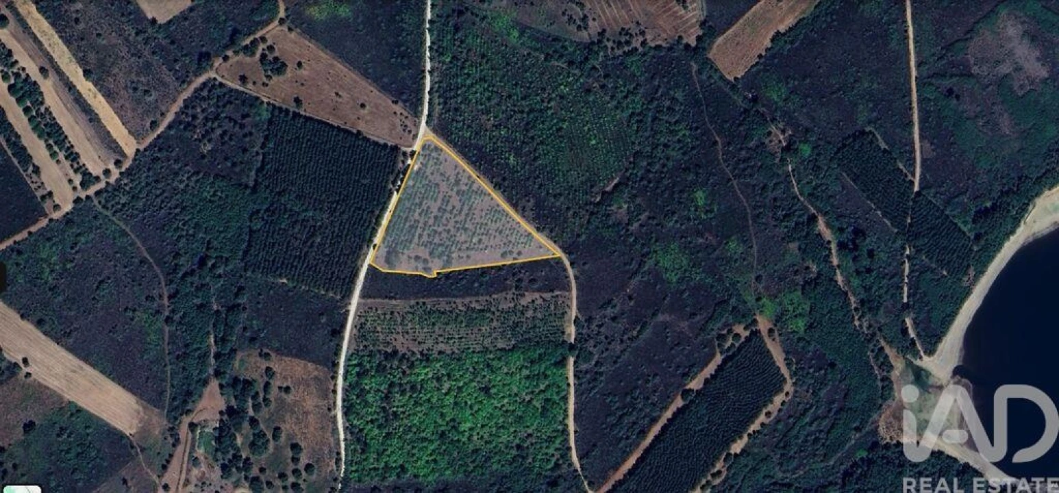 Terreno para Venda em Sabugal e Aldeia de Santo António Foto 2