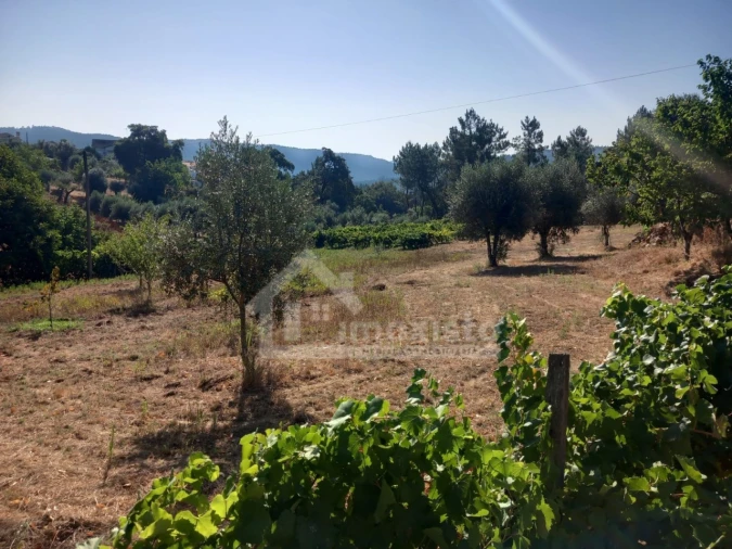 Moradia T4 para Venda em Figueiró dos Vinhos e Bairradas Foto 26