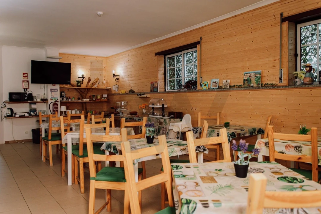 Negócio para Venda em São Pedro do Sul, Várzea e Baiões Foto 18