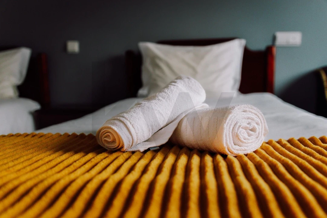 Negócio para Venda em São Pedro do Sul, Várzea e Baiões Foto 30