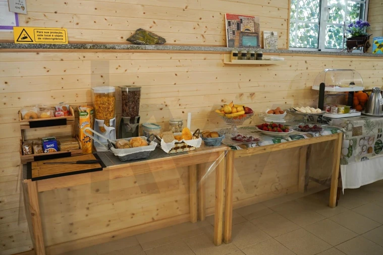 Negócio para Venda em São Pedro do Sul, Várzea e Baiões Foto 13