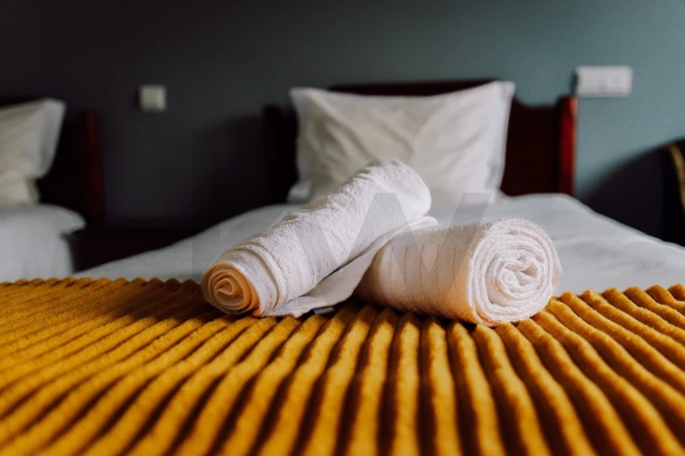 Negócio para Venda em São Pedro do Sul, Várzea e Baiões Foto 30