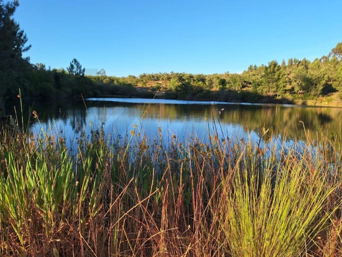 Quinta T2 para Venda em Raposa Foto 5