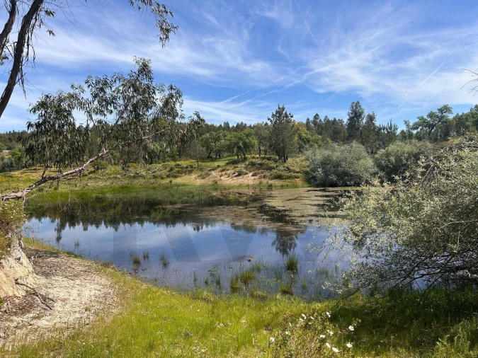Quinta T2 para Venda em Raposa