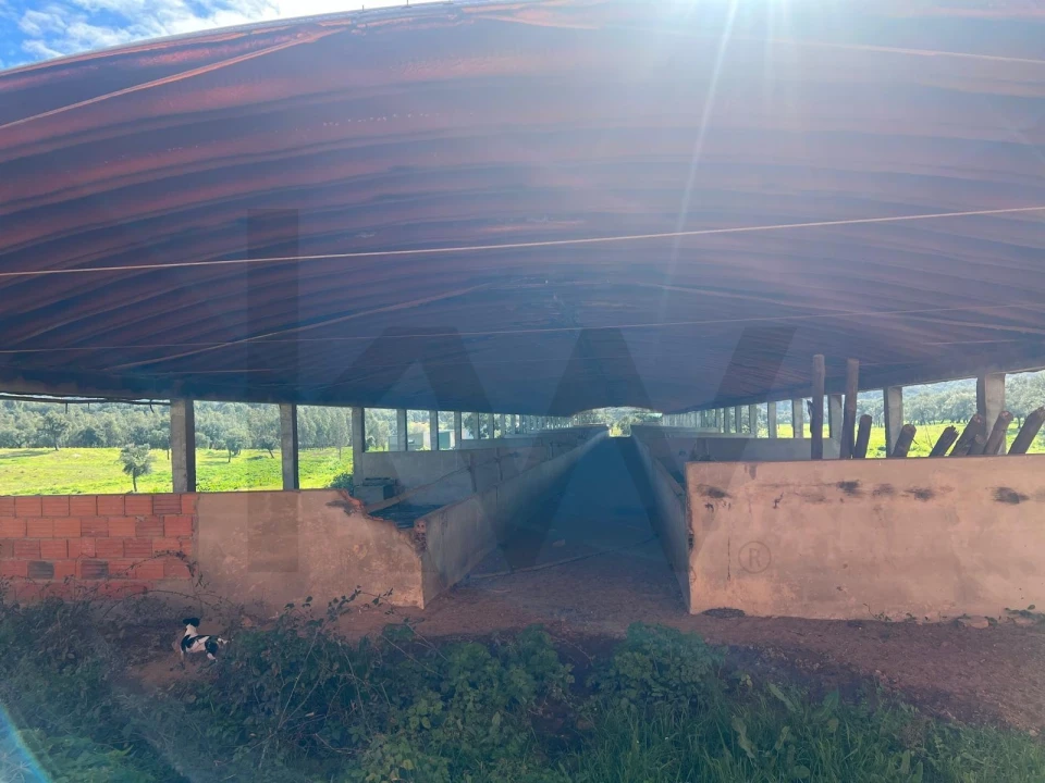 Quinta T2 para Venda em Raposa Foto 18