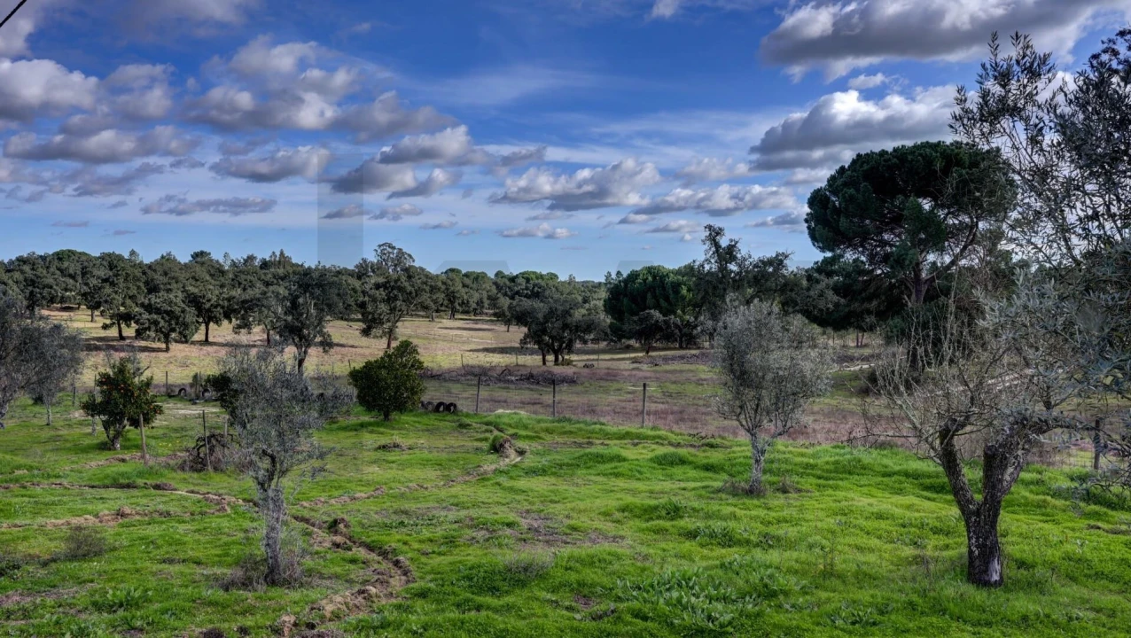 Quinta T5 para Venda em Cortiçadas de Lavre e Lavre Foto 50