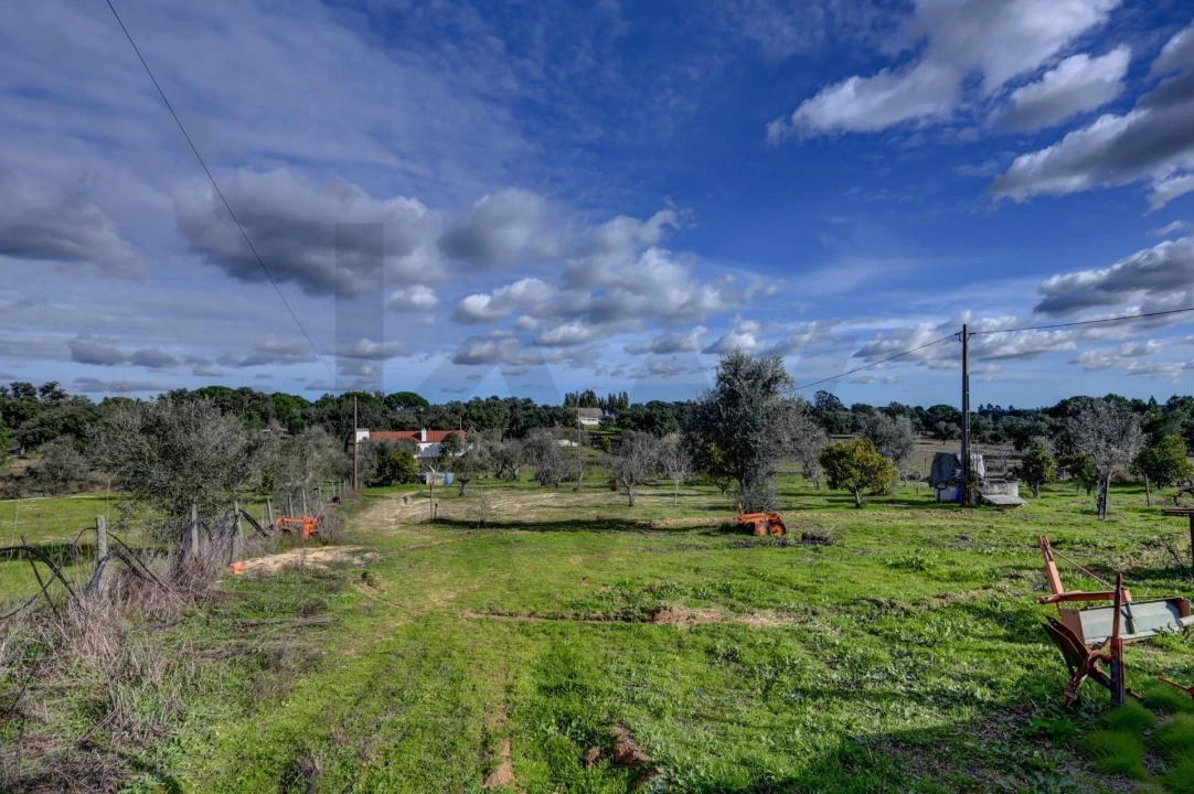 Quinta T5 para Venda em Cortiçadas de Lavre e Lavre Foto 46