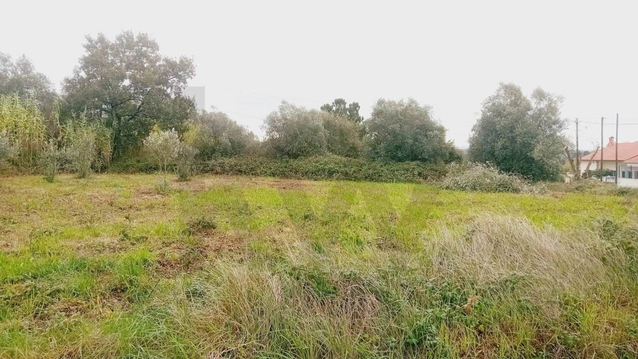 Terreno para Venda em Soure Foto 15