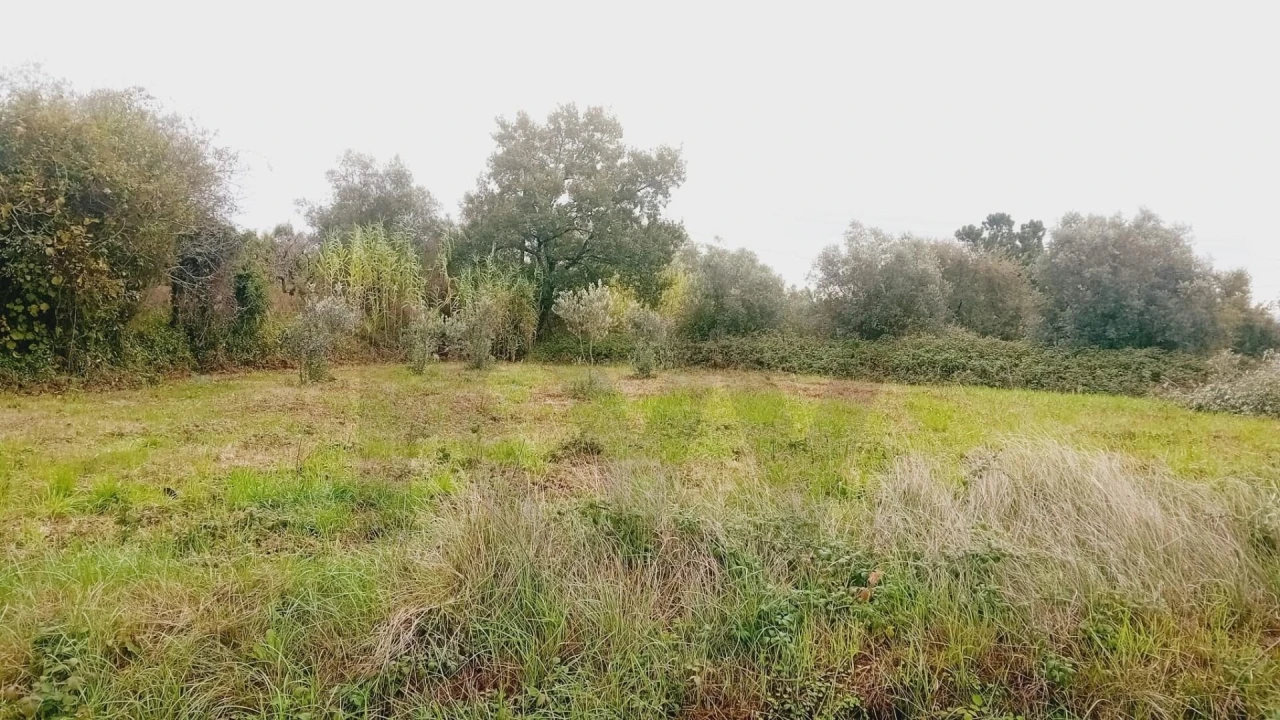 Terreno para Venda em Soure Foto 14