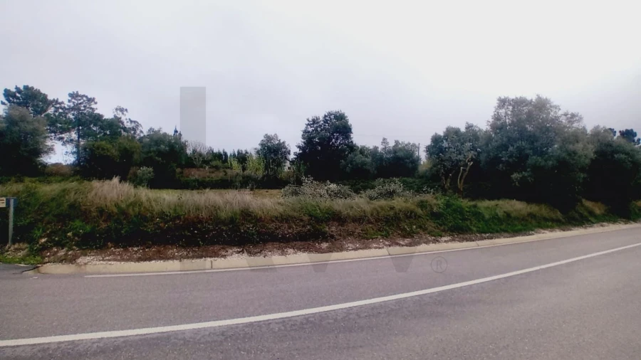 Terreno para Venda em Soure Foto 13