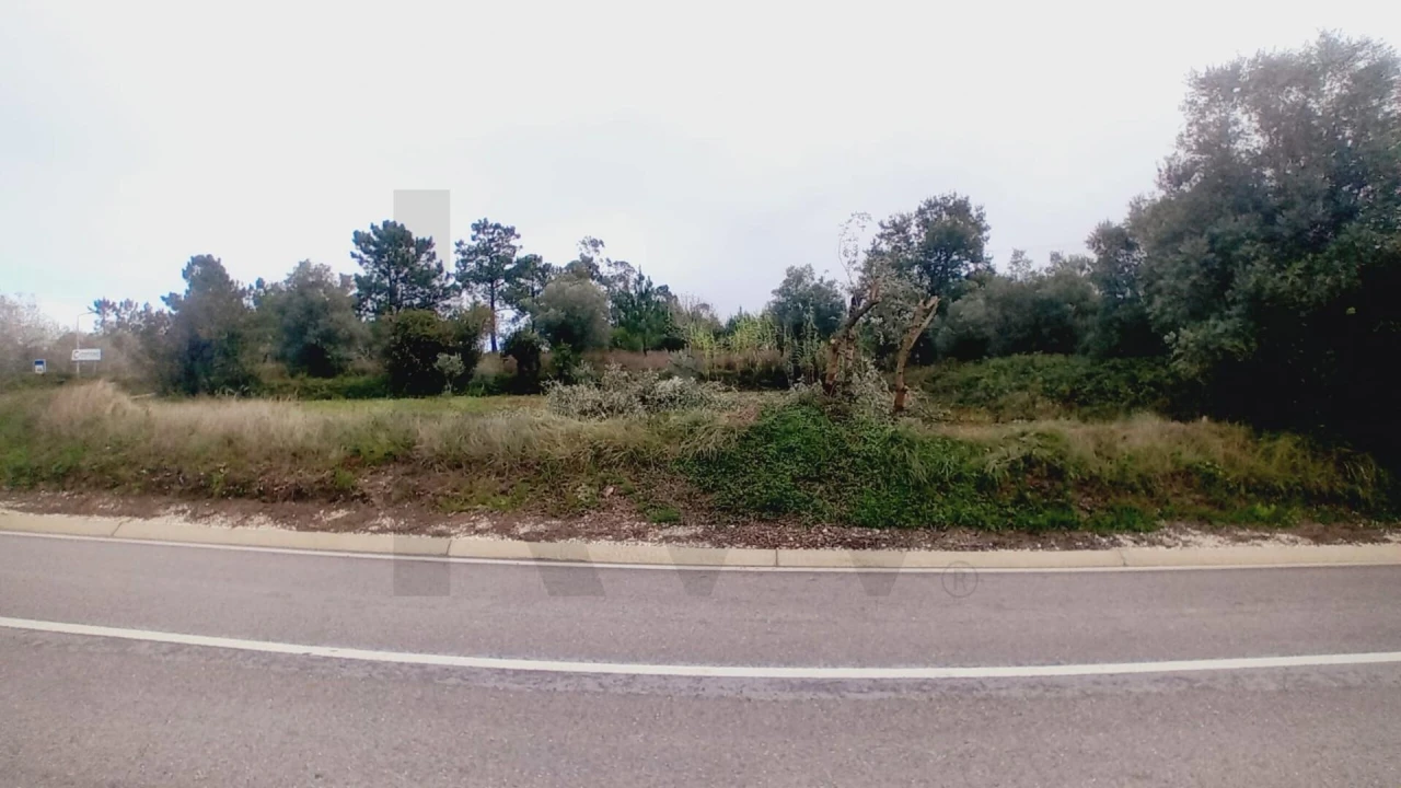 Terreno para Venda em Soure Foto 11