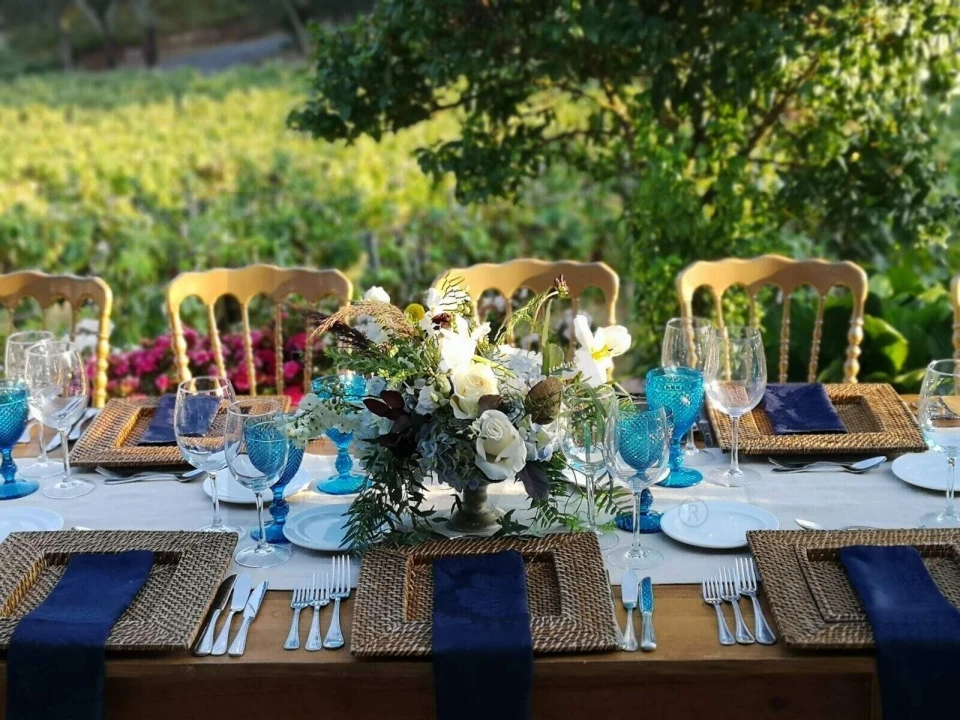 Quinta T20 para Venda em Nossa Senhora das Misericordias Foto 67