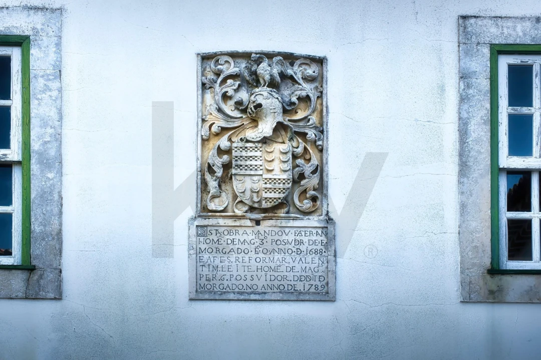 Quinta T20 para Venda em Nossa Senhora das Misericordias Foto 19