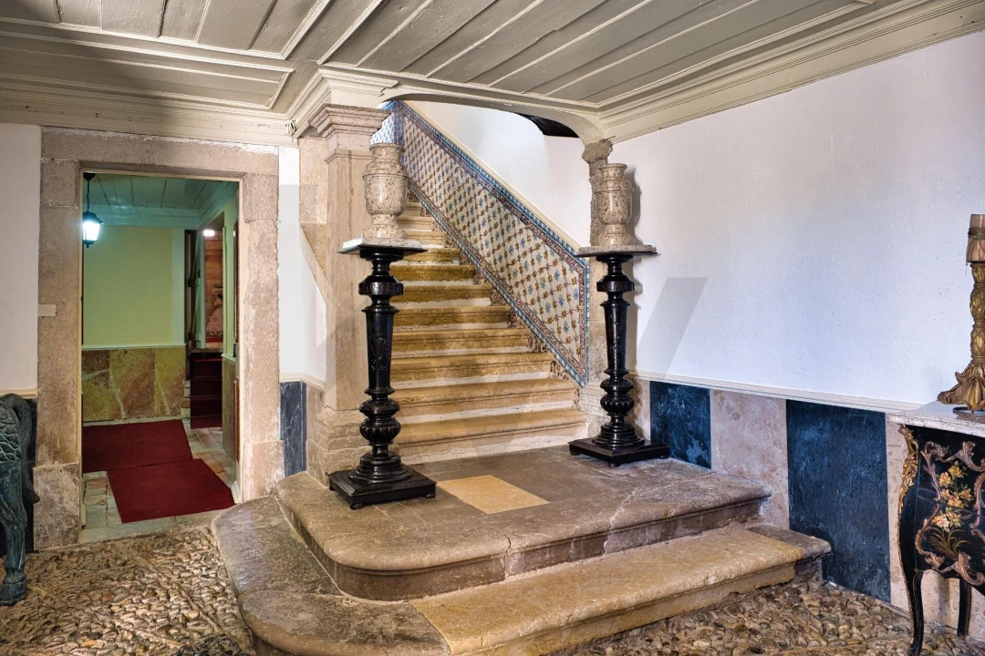 Quinta T20 para Venda em Nossa Senhora das Misericordias Foto 29