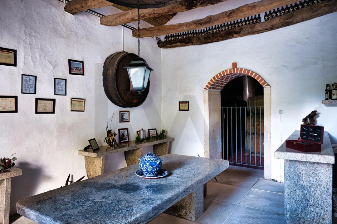 Quinta T20 para Venda em Nossa Senhora das Misericordias Foto 22